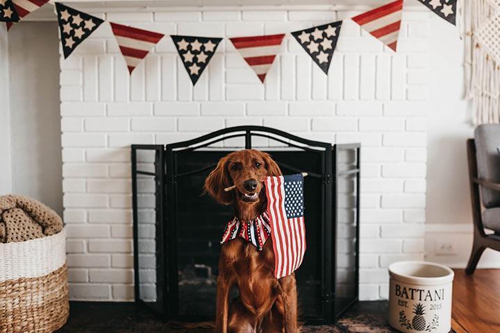 7 Ways to Celebrate a Greener Fourth of July - Alterre